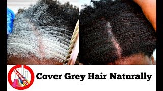 How To Turn White Or Grey Hair Into Black Naturally With No Chemicals Natural Hair Dye Step By Step [upl. by Aedrahs]