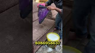 Sofa Cleaning Team calicutfoodmaniac kozhikode cleaning deepcleaning [upl. by Killion]