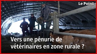 Vers une pénurie de vétérinaires en zone rurale [upl. by Alfy464]