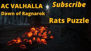 Rats Puzzle Mystery Not Today Jotun AC Valhalla Dawn of Ragnarok [upl. by Armallas]