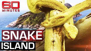 The deadliest place on earth Snake Island  60 Minutes Australia [upl. by Boykins]