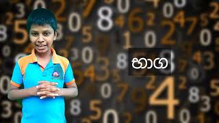 06 වසරගණිතයGrade 06Mathslesson 09Fractionsභාග09 පාඩමගණිතයඅභ්‍යාස මාලාවSavindu Nethsara [upl. by Ok]