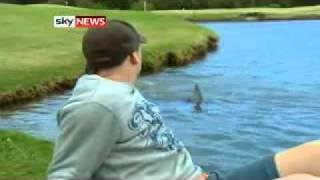 Golfers Brave SharkInfested Course [upl. by Ardnuyek]