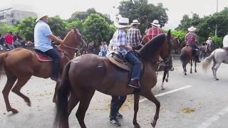 Cabalgata Horse Parade at the Feria de las Flores Flower Festival in Medellin Colombia [upl. by Arreis244]