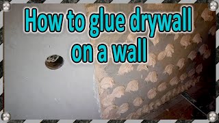 How to glue drywall on walls  mounting sheets on glue [upl. by Aysab898]