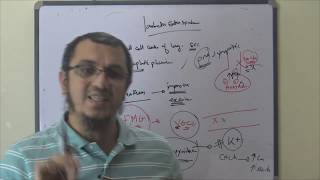 MRCP  NEURO  LambertEaton syndrome  Dr Mohamed Osama [upl. by Pelletier]