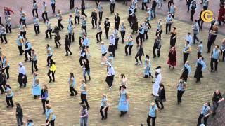 Flashmob Efteling Medewerkers  Winter Efteling [upl. by Robert]