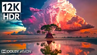 Dolby Vision 12K HDR 240fps  Experience the Unbelievable Nature  8K Earth [upl. by Garrett147]