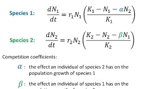 Modelling Interspecific Competition [upl. by Adlihtam]