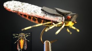 The Sickada  Foam Cicada Fly Pattern by Curtis Fry [upl. by Annek]