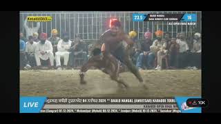 shilu k final match mai best wale stop  daula nangal kabaddi cup  4112024 kabaddi8888 [upl. by Kresic]