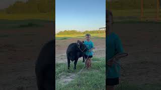 The FFA creed Recited by Littler Farmer Froberg 4 years old ffa agriculture farming [upl. by Gladi]