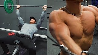 Chest and Arms Workout w Fabian GL [upl. by Bautram]