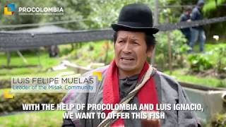 Colombian tilapia and trout a sustainable alternative for United States consumers [upl. by Bowden263]