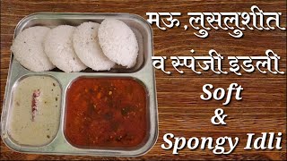 मऊलुसलुशीत इडली  Soft amp Spongy Idli [upl. by Einhpets]