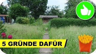 5 Gründe für einen Schrebergarten 🌷 👍  Pommes Män [upl. by Favien]