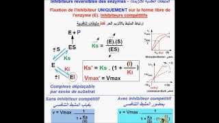 Enzymes Inhibiteurs compétitifs version Fr [upl. by Alla]