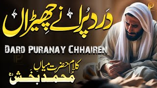 Kalam mian Muhammad baksh Dard Puranay Chhairen  kalam 2024  Part 4  Fsee Production [upl. by Eiramadnil]