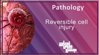 Reversible cell injury  patho L3 [upl. by Quinlan]