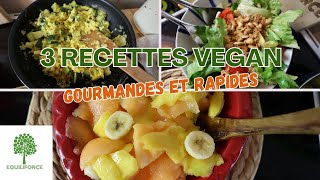 3 RECETTES VEGAN pour un REPAS RAPIDE et EQUILIBRÉ  LUNDI VERT n°293 [upl. by Meekahs]