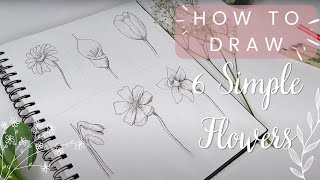 6 Simple but Realistic Flowers You Can Draw Right Now Beginner Friendly Guide [upl. by Durst]