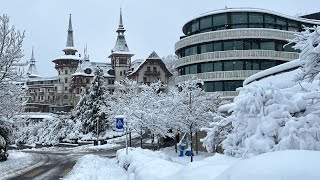 Zurich Snow Walking Tour ☃️ ❄️ Dolder Forest 4K HDR Walk 🌨 December 2 2023 [upl. by Aital]