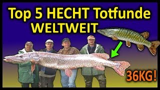 Top 5 Rekord HECHTTOTFUNDE WELTWEIT  169 Meter Hecht [upl. by Alaster]