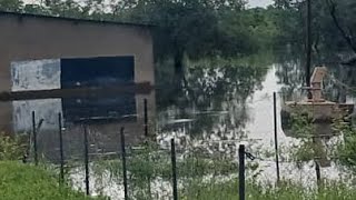 Sénégal Les populations vivent dans les eaux au SudEst du pays que font les autorités [upl. by Nedyrb818]