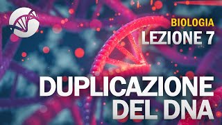 BIOLOGIA  Lezione 7  Duplicazione del DNA [upl. by Adierf]