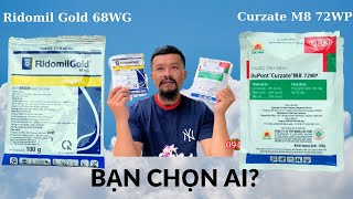 Ridomil Gold 68WG So Kèo Dupont Curazte M8 72WP Bạn Chọn Ai [upl. by Gnil231]