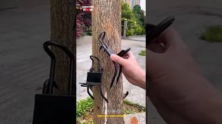 Tree Climbing Tool [upl. by Notsirk]