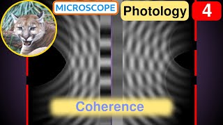 Photology 4 Coherence [upl. by Alvera]