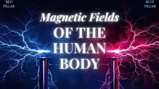 Red and Blue Pillar  Magnetic Fields of the Human Body [upl. by Iver]