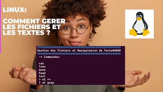 comment utiliser les commandes cat less more head  tail grep et les redirections sur Linux [upl. by Eelyme]