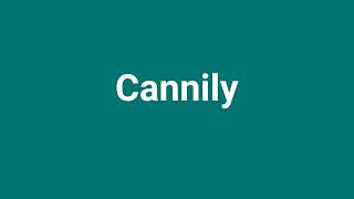 Cannily Meaning and Pronunciation [upl. by Adnalay]