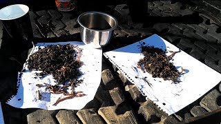 Vermicomposting Worm Talk Comparing Red Wigglers and European Nightcrawlers [upl. by Ahsemed]