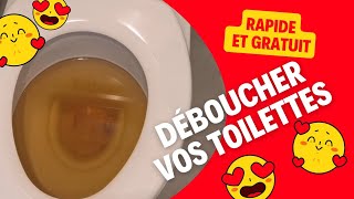 Comment déboucher les toilettes WC en 2 minutes [upl. by Assirod633]