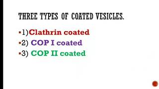 Clathrin coated Vesicles and Protein Transport [upl. by Carley]