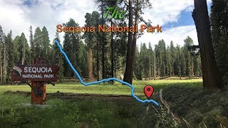 Visalia to the Sequoia National Park The 2017 Roadtrip [upl. by Sedgewake]