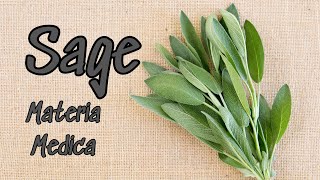 Sage Materia Medica Not Just for Flavor [upl. by Ck]