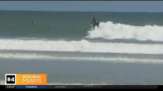 Florida man taken to hospital after bitten in the face by a shark [upl. by Namqul]