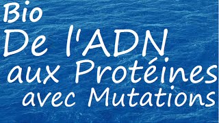 De lADN aux protéines avec mutations [upl. by Airdnahs]