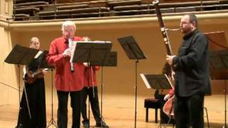 VIVALDI  Concerto for Oboe and Bassoon  VERNER COLLEGIUM [upl. by Nire]