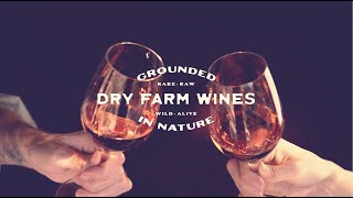 What is Dry Farm Wines [upl. by Root909]