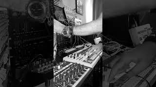 Dawless Analog Modular Techno Live Set techno live mix video shorts videoshort producer [upl. by Bergman]