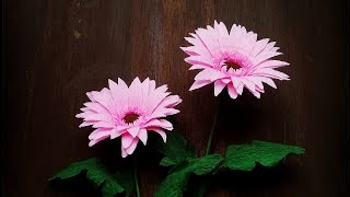 How To Make Gerbera Flower From Crepe Paper  Craft Tutorial [upl. by Gurango]