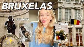 COZY VLOG DIAS EM BRUXELAS [upl. by Hnoj151]