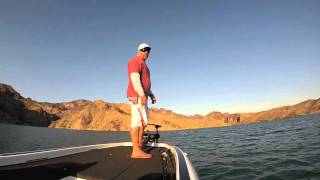 2015 Spro Frog Tournament • Lake Havasu • That Kid Niko [upl. by Nothsa]