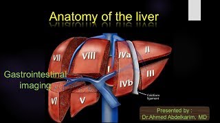 1Anatomy of the liver [upl. by Halludba]