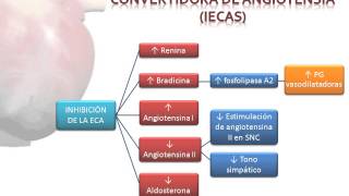 Tema 27 Fármacos indicados en la Insuficiencia Cardíaca [upl. by Craggie264]